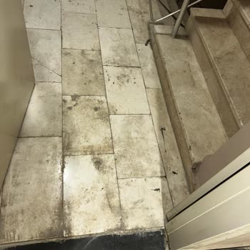 Ortak Alan Temizliği Yapılmıyor, Yönetimden Somut Çözüm Bekliyorum