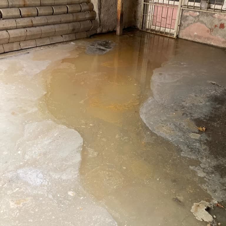 Rögar Sorununun Sürekli Tekrar Etmesi Ve Kalıcı Çözüm Talebi