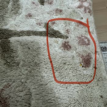 Halı Yıkama Sonrası Lekeler Ve İlgisiz Hizmet Nedeniyle Mağduriyet