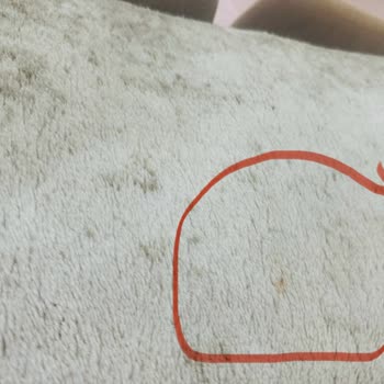 Halı Yıkama Sonrası Lekeler Ve İlgisiz Hizmet Nedeniyle Mağduriyet