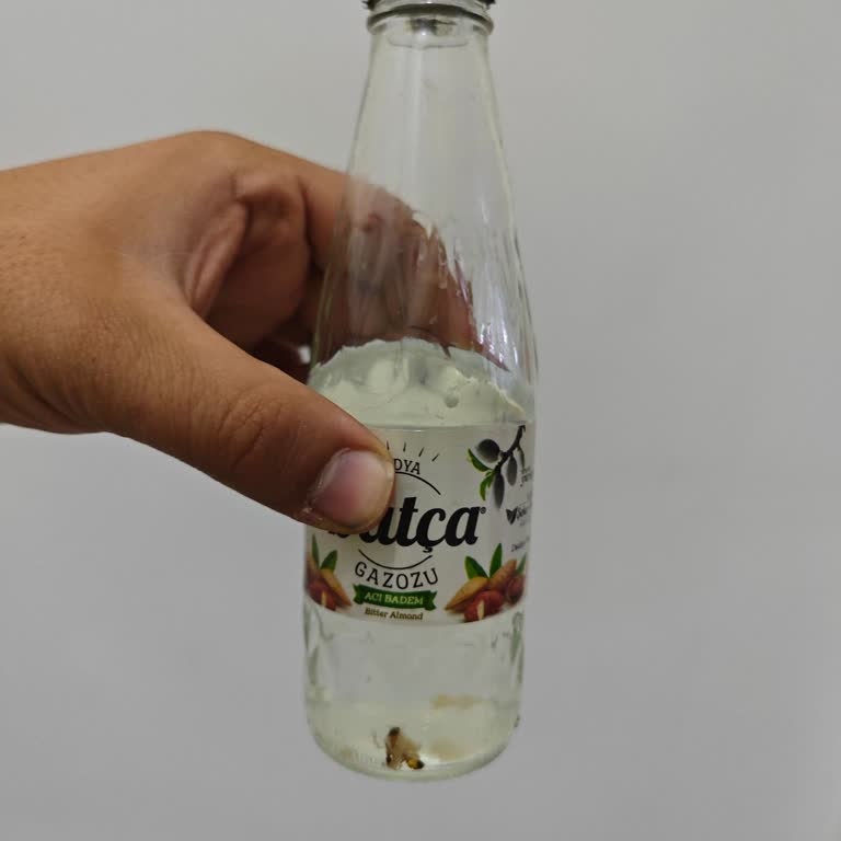 Datça Gazozunda Karınca Ve Yabancı Maddeyle Karşılaştım, Hijyen Endişesi Yaşadım