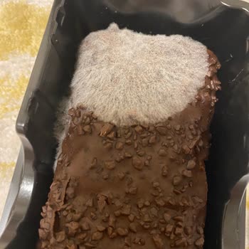 Küflü Pasta Satışı Ve Müşteri Hizmetlerine Ulaşılamaması Nedeniyle Mağduriyet