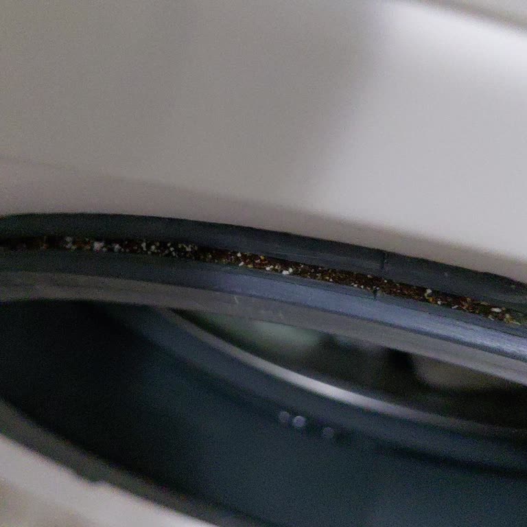 Bosch Çamaşır Makinesinde Sürekli Sızıntı Ve Paslanma Sorunu: Garanti Kapsamında Çözüm Talebi