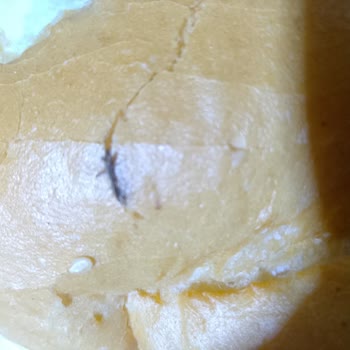 Aldığım Ekmekten Böcek Çıktı!