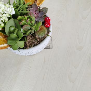 Yanlış Ürün Teslimatı Ve Eksik Ücret İadesi Mağduriyeti