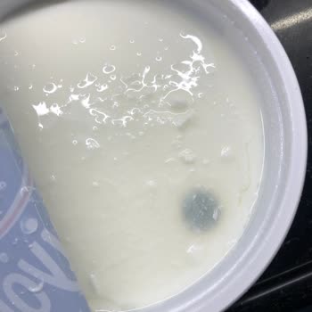 Yoğurt Ürününde Küf ve Tekrarlayan Kalite Sorunları