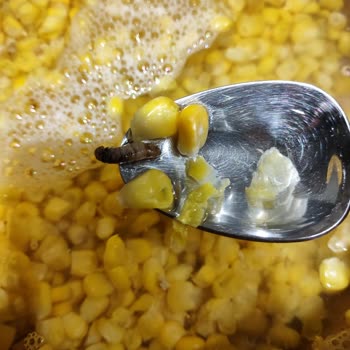 Dondurulmuş Mısır Paketinden Kurt Çıktı, İade Talebime Dönüş Alamadım