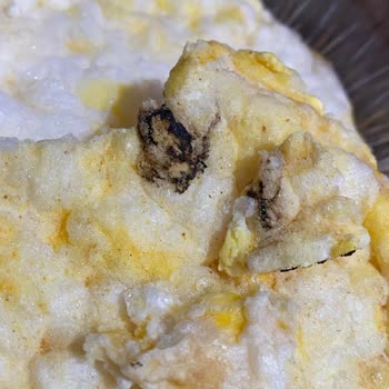 Aldığım Eti Gong Ürününde Böcek Benzeri Maddeyle Karşılaştım: Hijyen Ve Sağlık Endişesi