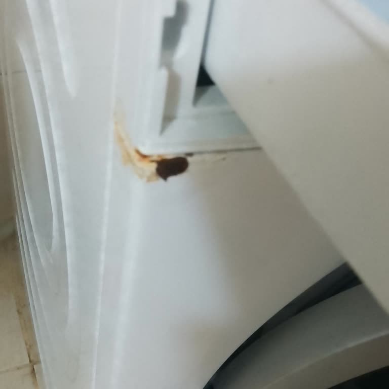 Siemens IQ300 Çamaşır Makinesinde Kart Arızası Ve Pas Sorunu