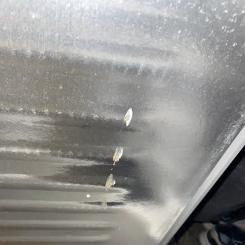 Bosch Teslimat Ve Ürün Kalitesi Sorunu Nedeniyle Mağduriyet