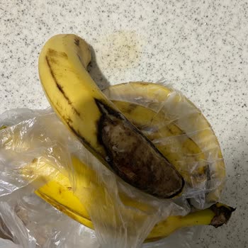 CarrefourSA’dan Gelen Bozuk Ve Yanlış Ürünler Tekrar Mağdur Etti