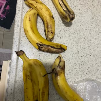 CarrefourSA’dan Gelen Bozuk Ve Yanlış Ürünler Tekrar Mağdur Etti