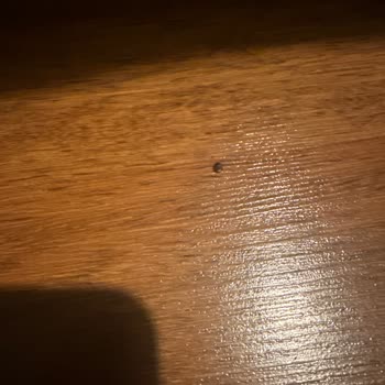 Colife İstanbul Hayal Kırıklığı Oldu