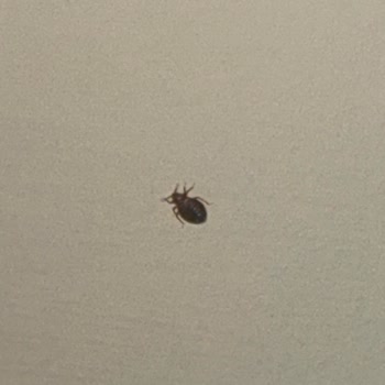 Colife İstanbul Hayal Kırıklığı Oldu