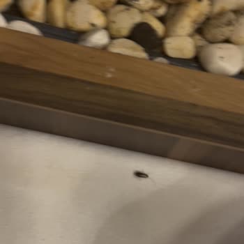 Restoranda Hijyen ve Hizmet Şikayeti ile Fiyatlandırma Sorunu