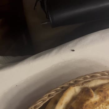 Restoranda Hijyen ve Hizmet Şikayeti ile Fiyatlandırma Sorunu