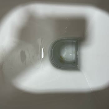 Creavit Asma Klozet Temizlik Sorunu Ve Servis İlgisizliği