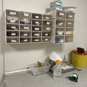 Alo 184 Sağlık Bakanlığı Şirinevler Büyük Anadolu Tıp Merkezi'nde Hijyen Eksikliği Ve Bakımsızlık