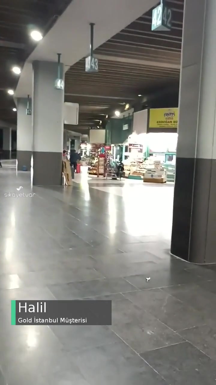 Gold İstanbul Pişmanlıktır videonun kapak resmi