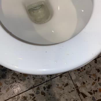 Beşiktaş Doyuyo Şubesinde Soğuk Yemek, İlgisiz Personel Ve Kötü Hijyen Deneyimi