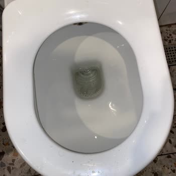 Beşiktaş Doyuyo Şubesinde Soğuk Yemek, İlgisiz Personel Ve Kötü Hijyen Deneyimi