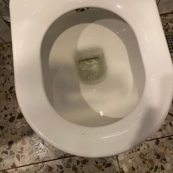 Beşiktaş Doyuyo Şubesinde Soğuk Yemek, İlgisiz Personel Ve Kötü Hijyen Deneyimi