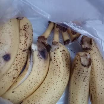 Migros Çürük Muz Teslimatı Ve Yetersiz Müşteri Hizmetleri Nedeniyle Mağduriyet