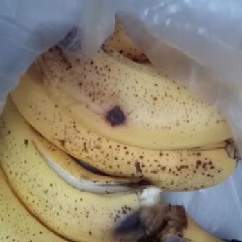 Migros Çürük Muz Teslimatı Ve Yetersiz Müşteri Hizmetleri Nedeniyle Mağduriyet