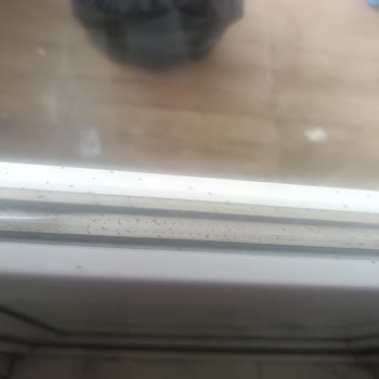 Gaziantep'te Yetersiz İlaçlama Nedeniyle Yaşanan Böcek Sorunu Ve Mağduriyet