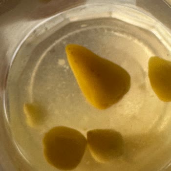 Aldığım Biber Turşusundan Sinek Çıktı İade Kabul Edilmedi