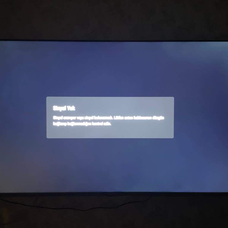 Vestel TV Ekran Lekesi Sorunu Garanti Kapsamında Çözülmedi, Mağduriyetim Giderilmiyor