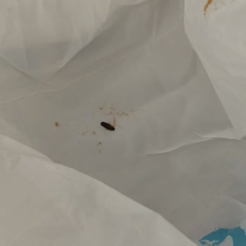 A101 Kapıda Siparişimde Bozuk Ve Kırık Ürünler Teslim Edildi, Ücret İadesi Talebim Karşılanmadı