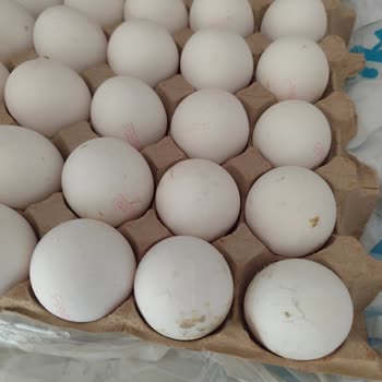 A101 Kapıda Siparişimde Bozuk Ve Kırık Ürünler Teslim Edildi, Ücret İadesi Talebim Karşılanmadı