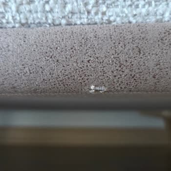 Teslim Edilen Yeni Salon Takımında Kusur Ve Yetersiz Çözüm Süreci