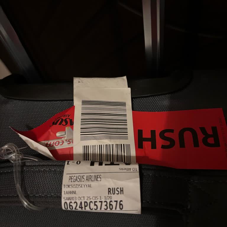 Kayıp Bagaj Nedeniyle Toplantı Fırsatını Kaybettim, Maddi Ve Manevi Mağduriyetim Giderilmiyor