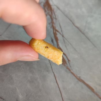 Torku Dondurulmuş Patateste Böcek Şoku: Güvenim Sarsıldı