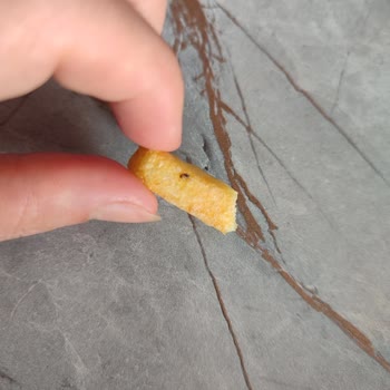 Torku Dondurulmuş Patateste Böcek Şoku: Güvenim Sarsıldı