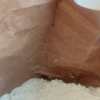 A101'den Aldığım Unun İçinden Böcek Çıktı İade Ve Çözüm Talebim Reddedildi