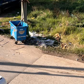 Konteyner Dışındaki Çöplerin Toplanmaması Temizlik Sorunu Yaratıyor