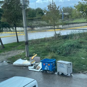 Konteyner Dışındaki Çöplerin Toplanmaması Temizlik Sorunu Yaratıyor