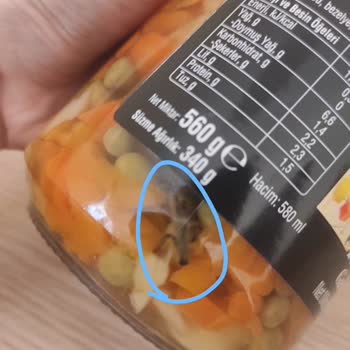 Aldığım Garnitürde Ambalaj İçinde Böcek Benzeri Yabancı Cisim Buldum
