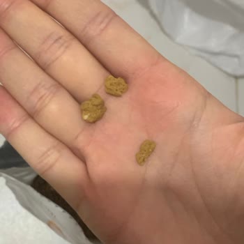 Kusurlu Mama Ve İade Sürecinde Yaşanan Mağduriyet