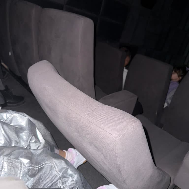 Sinema Salonunda Kırık Koltuklar Ve Çok Kısık Sesle İzlenen Film Deneyimi