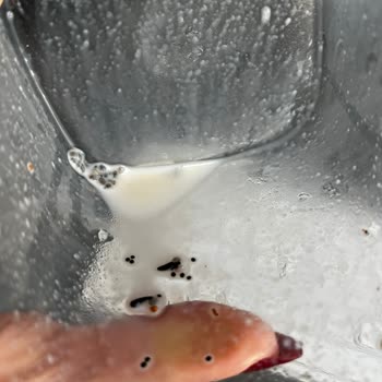 Kapalı Ambalajdan Taş Çıkan Chia Tohumu Sağlığımızı Tehdit Ediyor