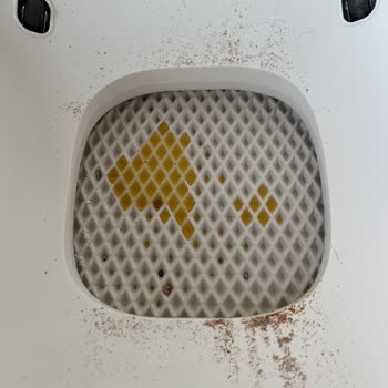 Ubpet C20 Otomatik Kedi Tuvaleti: Hayal Kırıklığı Yaratan Tasarım Ve Çözülmeyen Sorunlar