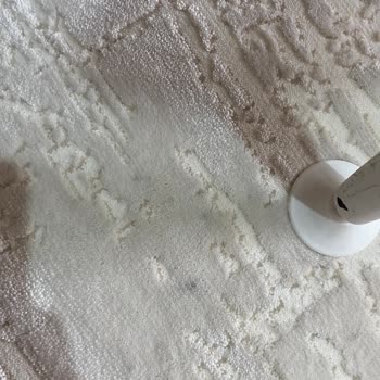 Aldığım Halılarda İpliklenme Ve Lekeler Mağaza Ve Müşteri Hizmetleri Sorumluluk Almıyor