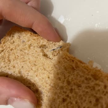 Aldığım Ekmeğin İçinden Mavi Kumaş Parçası Çıktı Hijyen Ve Sağlık Endişesi Yaşadım