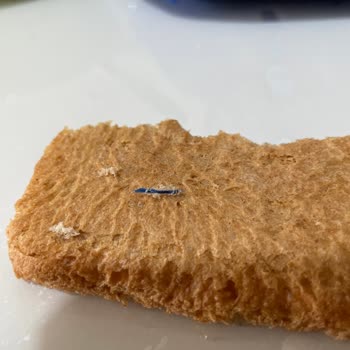 Aldığım Ekmeğin İçinden Mavi Kumaş Parçası Çıktı Hijyen Ve Sağlık Endişesi Yaşadım