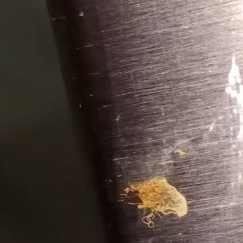 Vestel Bulaşık Makinesinde Garanti Kapsamında Paslanma Sorunu Ve Çözüm Eksikliği