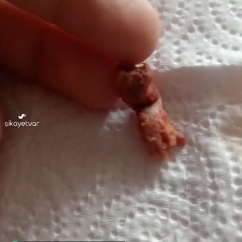 Beşler Sucuktan Tavuk Ayağı Çıktı